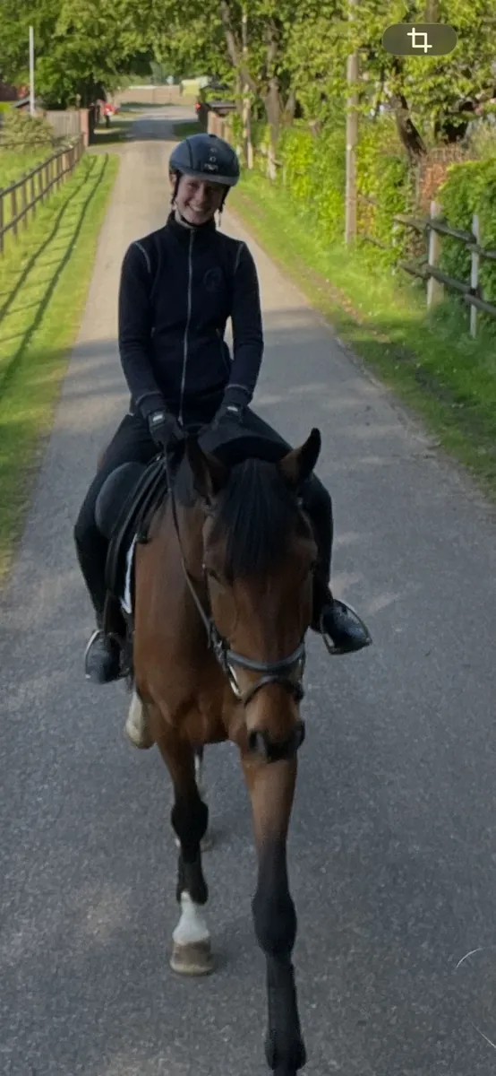 Ben Zuccer (2020) — Foto 3