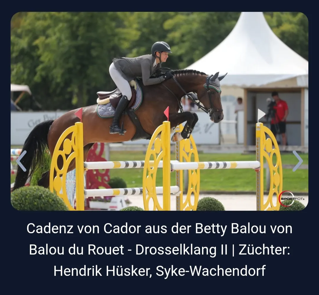 Cadenz (2012) — Foto 4