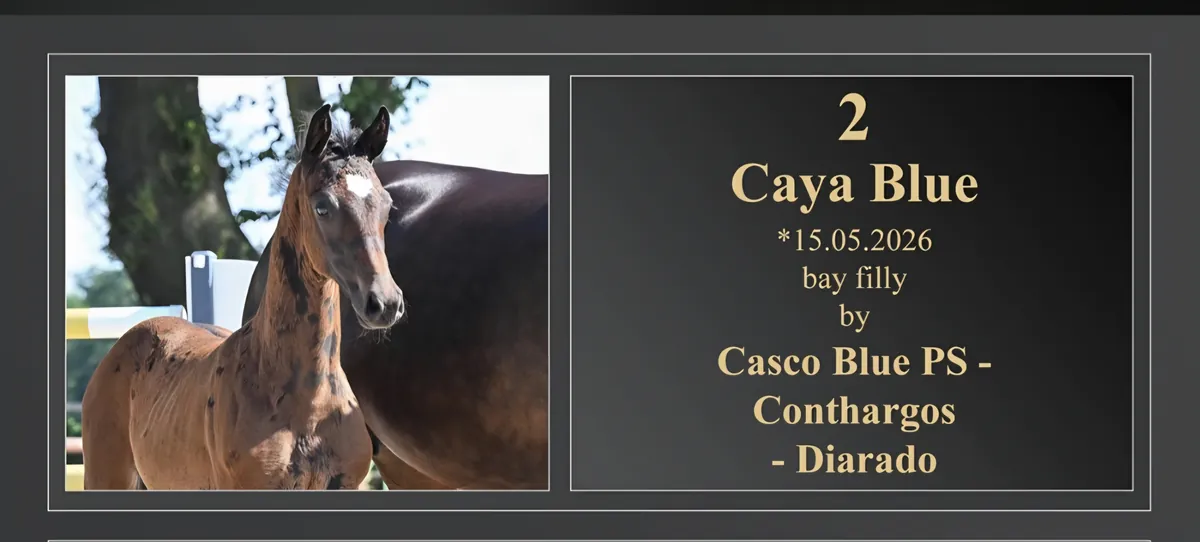 Caya Blue (2026) — Foto 4