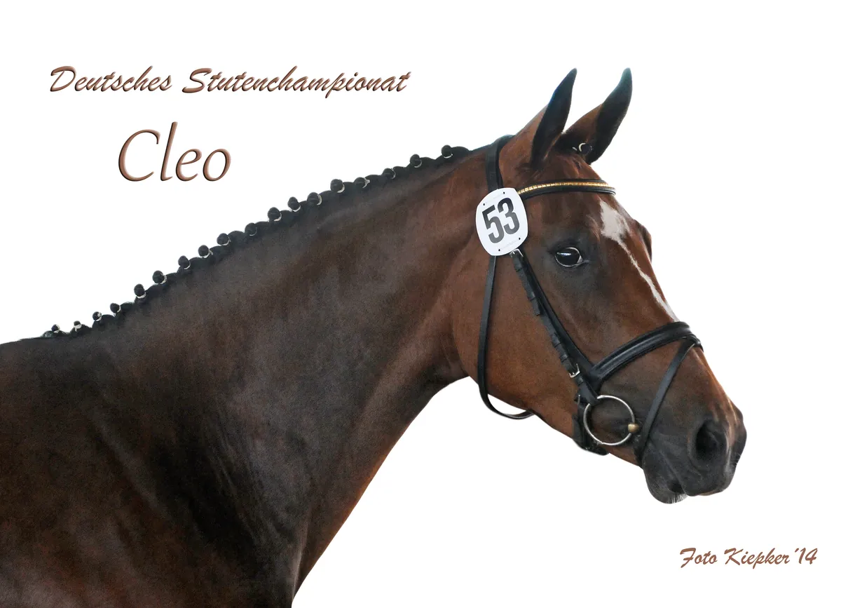 Cleo (2011) — Foto 1