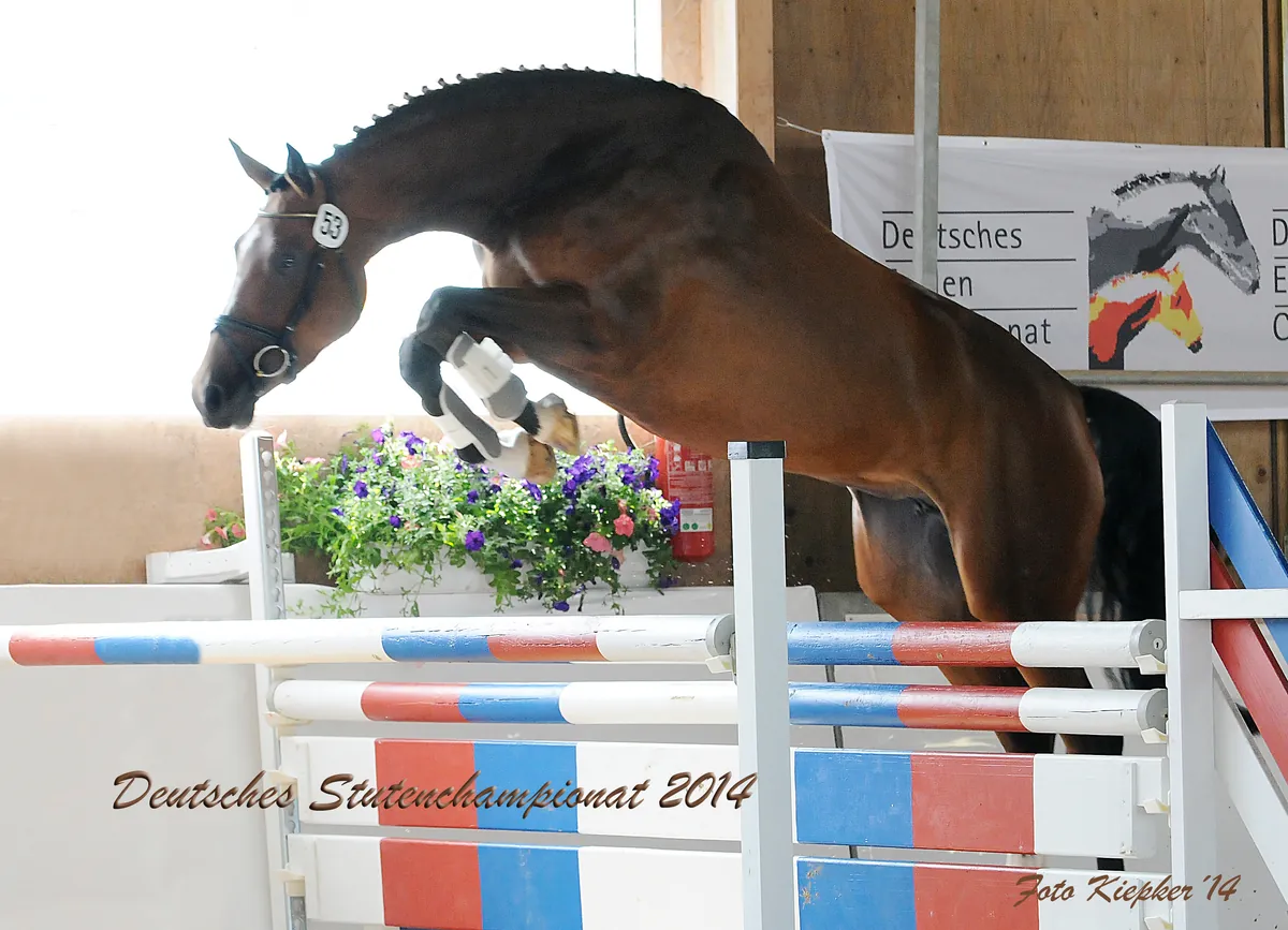 Cleo (2011) — Foto 2