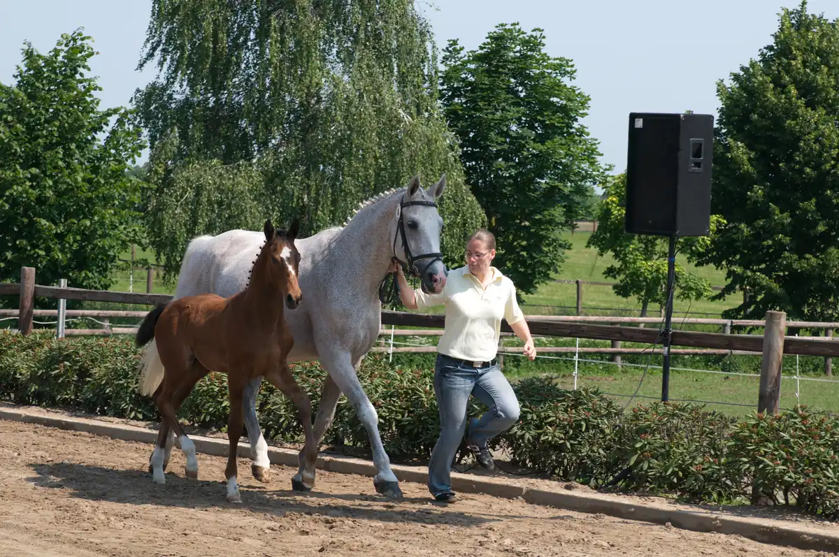 Cleo (2011) — Foto 3