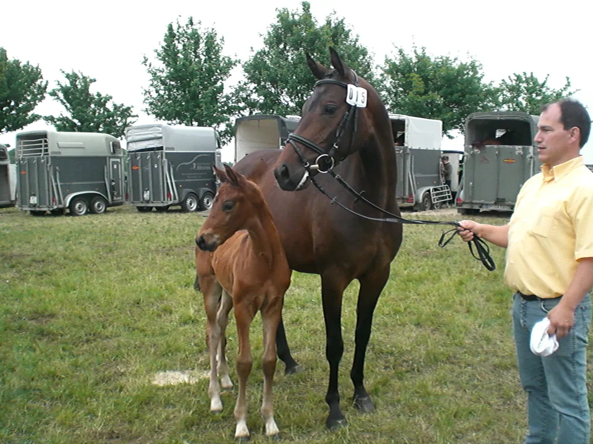 Donna Dorina (2004) — Foto 2